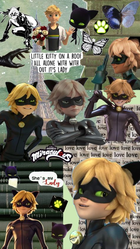 #mlb #catnoir #cat #adrien Adrian Wallpaper, Cat Noir, Mlb, Kitty