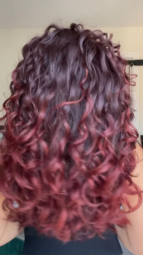 Summer Vibes: Transform Your Look with a Taper Mullet Rainbow Burgundy Curly Hair, Curly Balayage Hair, Long Hair Color Ideas, Ombre Curly Hair, Maroon Hair, Dyed Curly Hair, Curly Hair Care Routine, Natural Curly Hair Cuts, Wine Red Hair