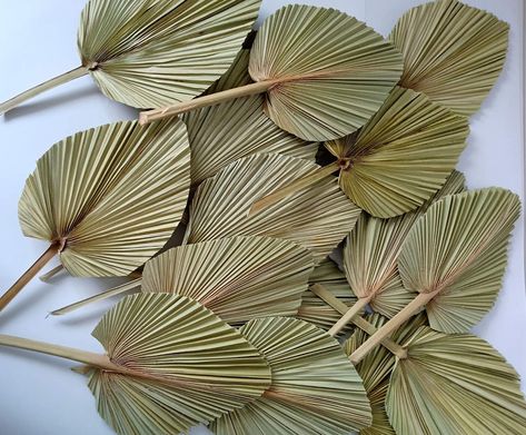 Dry Palm Leaves Decor, Leaves Decoration Ideas, Palm Leaves Decoration, Dyi Flower, Palm Fan, Palm Leaf Decor, Ivy Flower, Dried Palm Leaves, Porch Pumpkins