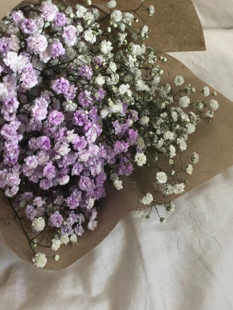 Iphone Wallpaper Bts, Breath Flowers, Boquette Flowers, Baby Breath, Baby S Breath, Nothing But Flowers, Flower Therapy, Flowers For You, Baby's Breath