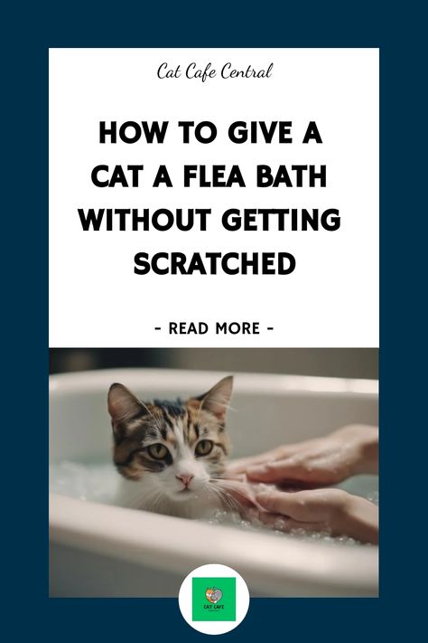 😻🚿 Keep your kitty clean and scratch-free with these tips for giving a flea bath without the scratches! #catlovers #fleatreatment #scratchfree Cat Bathing Tips, Fleas Remedies For House Cat, How To Get Rid Of Fleas On Cats, How To Bathe A Cat, Flea Bath For Cats, Flea Remedies For Cats, Natural Flea Remedies, Dangerous Cat, Home Remedies For Fleas