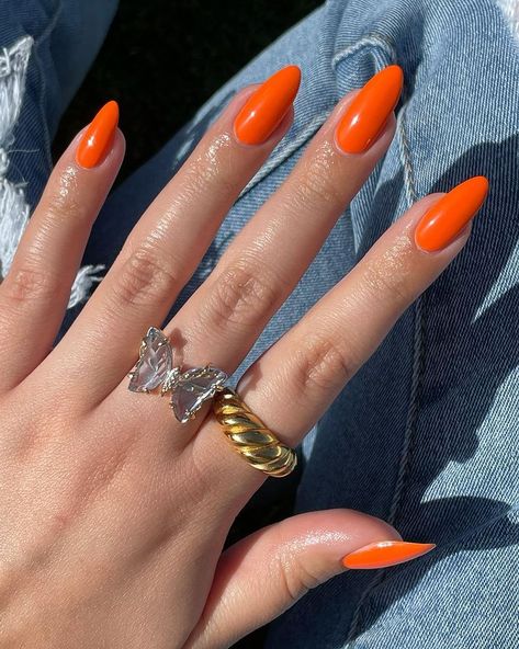 Orange Nails Ideas Fall, Solid Almond Nails, Almond Acrylic Nails Solid Color, Solid Color Almond Nails, Almond Nails Orange, Orange Nails Almond, Orange Almond Nails, Beautiful Fall Nails, Regina Phalange