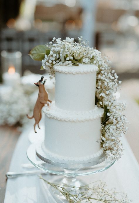 Wedding Cakes Dog Eating, Small Wedding Cake With Dog, Simple Wedding Cake With Dog, Wedding Cake Dog Eating, Wedding Cake With Dog Eating, Dog On Wedding Cake, June Wedding Cake, Wedding Cakes With Dogs, Wedding Cake With Dog