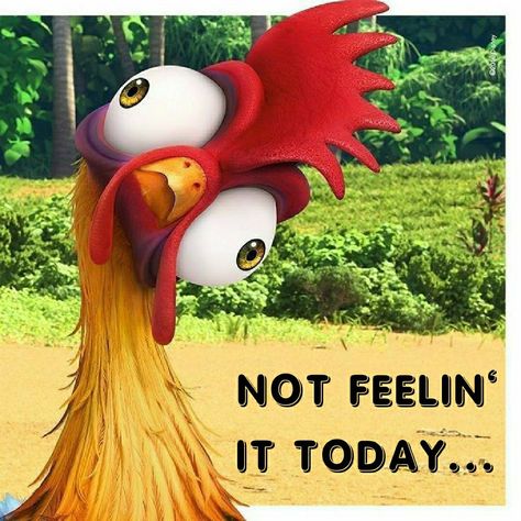 Good Morning Funny Pictures, Cartoon Chicken, Rooster Art, Hei Hei, Chicken Art, Disney Moana, Chicken Humor, Funny Cartoon Quotes, Cute Disney Wallpaper