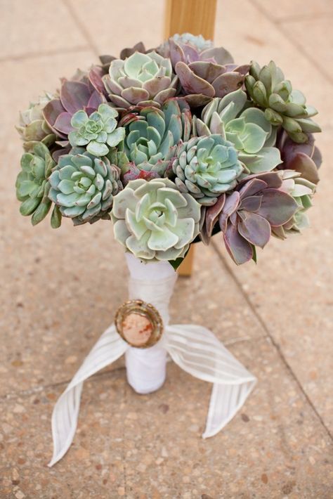 succulent wedding bouquet... love this idea minus the wrapped and pinned stems Succulent Bouquet Wedding, Bouquet Bride, Flowers Real, Green Bouquet, Succulent Bouquet, Phoenix Wedding, Succulent Wedding, Cover Model, Succulents Diy