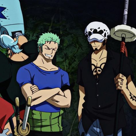 Zoro Law Luffy, Zoro And Law Matching Icon, Law And Zoro One Piece, Trafalgar Law X Zoro, Zoro And Law, Zoro X Law, Law X Zoro, Trafalgar Law Icon, Zoro Law