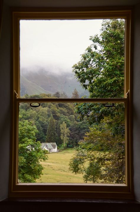 View Out Of Window, Window View City, Cabin Windows, Window Views, Window Photo, City Tree, A Room With A View, Room With A View, Living The Life