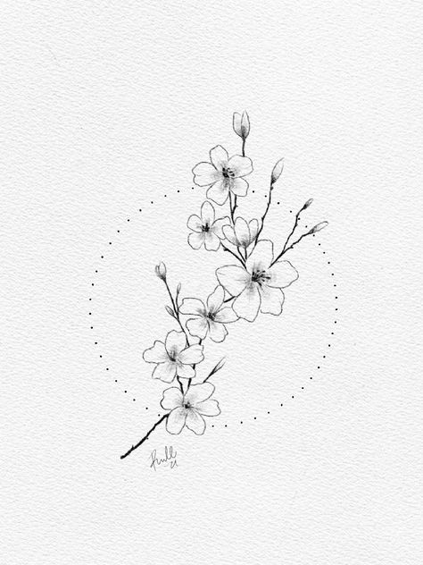 Pretty Line Art Drawings, Star Magnolia Tattoo, Sakura Fine Line Tattoo, Fine Line Cherry Blossom Tattoo Design, Japanese Cherry Blossom Tattoo Fine Line, Cherry Blossom Line Tattoo, Sakura Tattoo Black And White, Cherry Blossom Fine Line Tattoo, Fine Line Japanese Tattoo