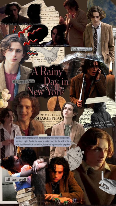 Rainy Day In New York Aesthetic, Timothee Chalamet Rainy Day In New York, A Rainy Day In New York Movie Aesthetic, A Rainy Day In New York Aesthetic, A Rainy Day In New York Movie, A Rainy Day In New York, Rainy Day In New York, New York Movie, Diary Movie