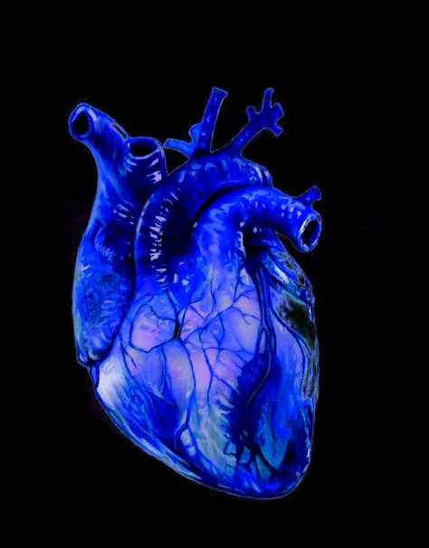 Dark Blue Aesthetic, Heart Organ, Blue Pictures, Anatomical Heart, Human Heart, Cool Backgrounds, Aesthetic Themes, Instagram Highlight Icons, Blue Heart