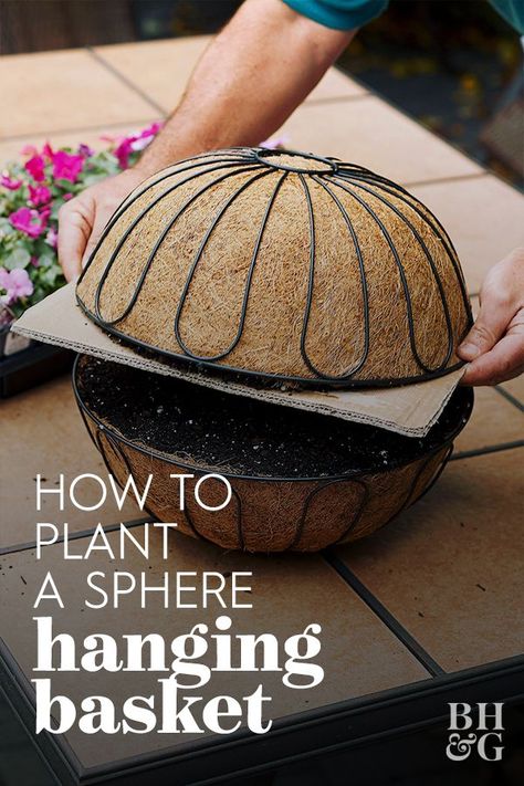 Sphere Hanging Basket Diy, Creative Gardens, Yard Flowers, Hanging Plants Outdoor, Garden Spheres, Patio Flowers, Hanging Gardens, Planting Ideas, Hanging Flower Baskets