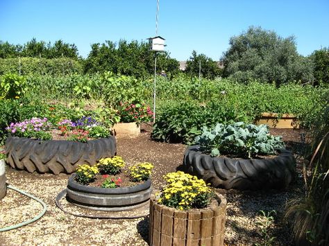 Tractor tire beds - this year's above ground beds. Tire Diy, Vegetable And Flower Garden, Vege Garden Ideas, Above Ground Garden, Vege Garden, Tire Garden, Tire Planters, Tractor Tire, Farm Art