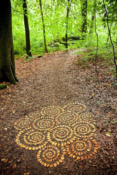 Beech Leaves, Nature Mandala, Twitter Design, Metal Garden Art, Earth Art, Garden Art Sculptures, Christmas Porch, Nature Crafts, Outdoor Art