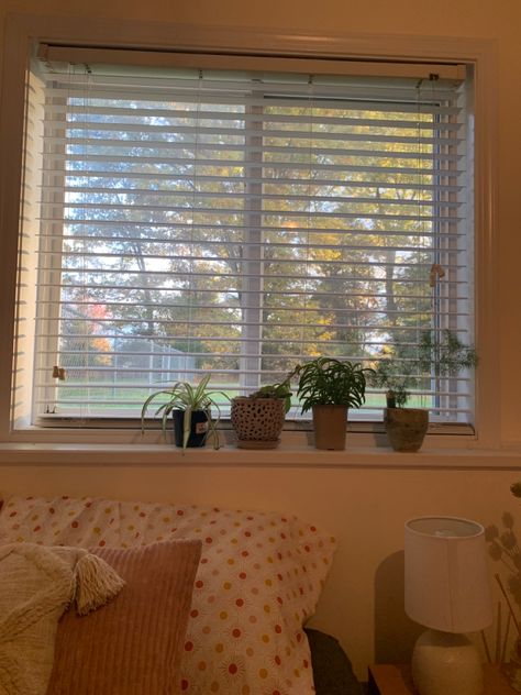 Plants, window plants, aesthetic bedroom Plants Window, Window Bedroom, Plants Aesthetic, Window Plants, Window Shelves, Bedroom Window, Plant Aesthetic, Bedroom Windows, Aesthetic Bedroom