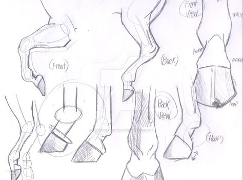 Horse Hooves and Legs sketch by iWaterbender Horse Hooves Reference, Legs Sketch, Horse Drawing Tutorial, Horse Hooves, Horse Art Drawing, Drawing Legs, Horse Sketch, Horse Anatomy, Horse Illustration