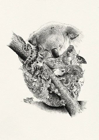 Collections – Marini Ferlazzo - Art for Wildlife Australia Tattoo, Theme Tattoo, Australian Wildlife, The Bush, Australian Animals, Wildlife Conservation, Pen Ink, Giclée Print, Wildlife Art