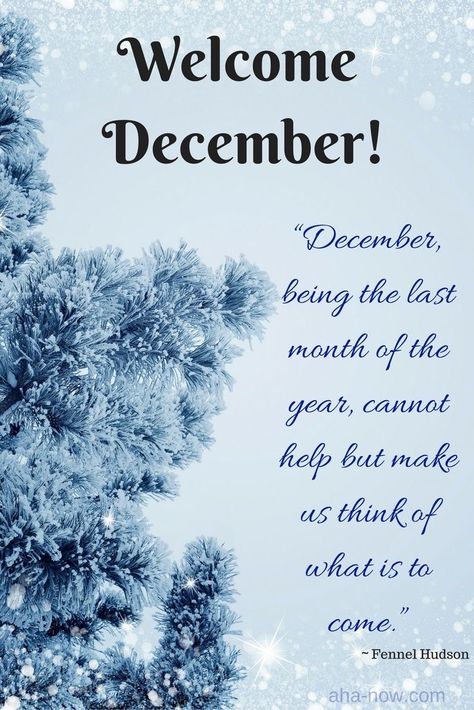 1 December Quotes, December Quotes Happy, December 1st Quotes, 1st Day Of December, Welcome December Quotes, Hello December Quotes, Hello December Images, Last Month Of The Year, A December To Remember