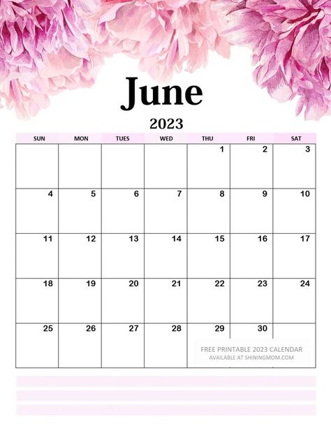 June 2023 Calendar Printable, Life Planner Printables Free, Flower Wall Hanging Decor, Life Planner Printables, Room Hanging Decor, Calender Printables, Diy Paper Wall Hanging, Free Monthly Calendar, Free Calendars