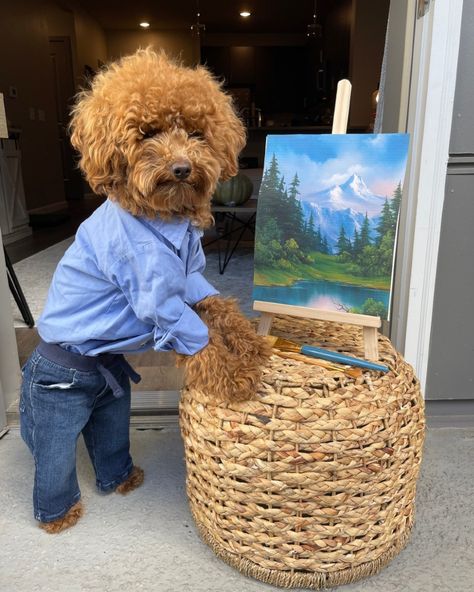 Looking for some Halloween costume inspo? 🐾👀 Our favorite Pineapple Pups are here to help! 🍍 Check out these paws-itively adorable costumes from last year's Dash, The Pineapple Pup's Halloween Costume Contest! 👻 Get ready—this year’s contest is right around the corner! Stay tuned for more details SOON! 🐶 Poodle Costume, Costume Inspo, Halloween Costume Contest, Costume Contest, Cute Costumes, Toy Poodle, Around The Corner, Stay Tuned, Halloween Costume