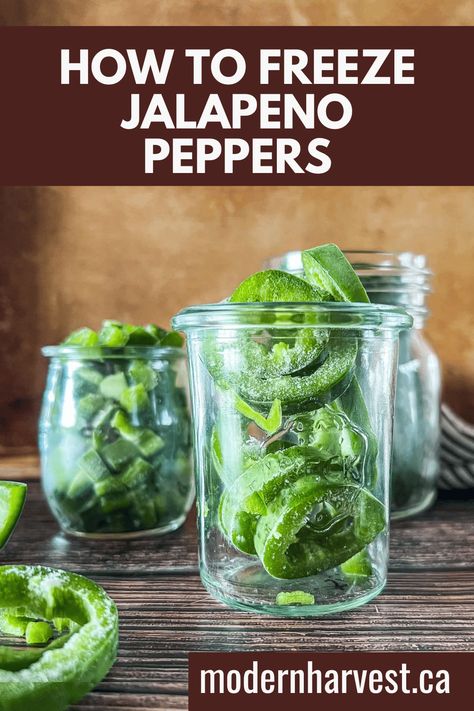 How To Freeze Jalapeno Peppers - Modern Harvest Freeze Banana Peppers, Freeze Jalapeno Peppers, Preserving Peppers, Freezing Peppers, Drying Fresh Herbs, Types Of Peppers, Banana Peppers, Jalapeno Peppers, Poblano Peppers