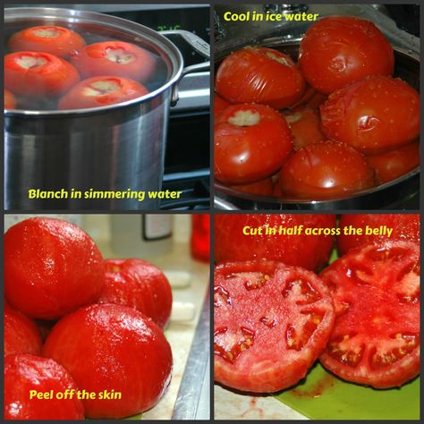 Blanching Tomatoes, Spaghetti Sauce With Fresh Tomatoes, Sauce With Fresh Tomatoes, Italian Spaghetti Sauce, Tomatoes In Containers, Italian Spaghetti, Alkaline Vegan, Pasta Sauce Homemade, Homemade Spaghetti Sauce