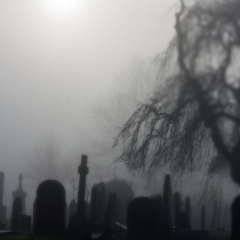 foggy graveyard edit #1 Documentary Moodboard, Misty Graveyard, Foggy Cemetery, Gray Widgets, Goth Graveyard, Creepy Fog, Foggy Graveyard, Playlist Pics, Matching Things