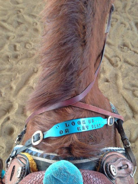 I want this wither strap! Rodeo Attire, Barrel Racing Tack Rodeo, Bling Horse Tack, Fallon Taylor, Barrel Racing Saddles, Wither Strap, Barrel Racing Tack, Horse Show Clothes, Barrel Racing Horses