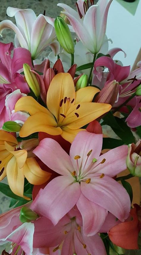 Boquette Flowers, Drone Images, Nothing But Flowers, Royal Life, Flower Therapy, Beautiful Bouquet Of Flowers, Pretty Plants, A Celebrity, Exotic Flowers