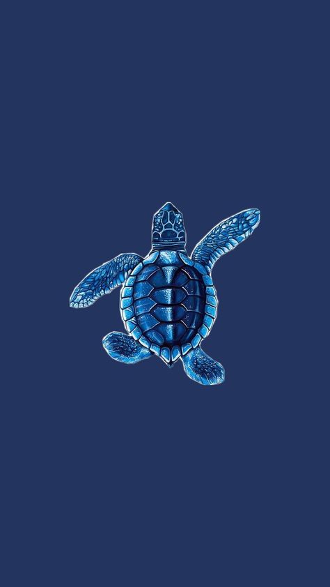 Home Screen Pictures, Sea Turtle Wallpaper, Summer Prints Wallpaper, Beachy Wallpaper, Turtle Wallpaper, Smile Wallpaper, Bow Wallpaper, Cute Blue Wallpaper, Sea Life Art