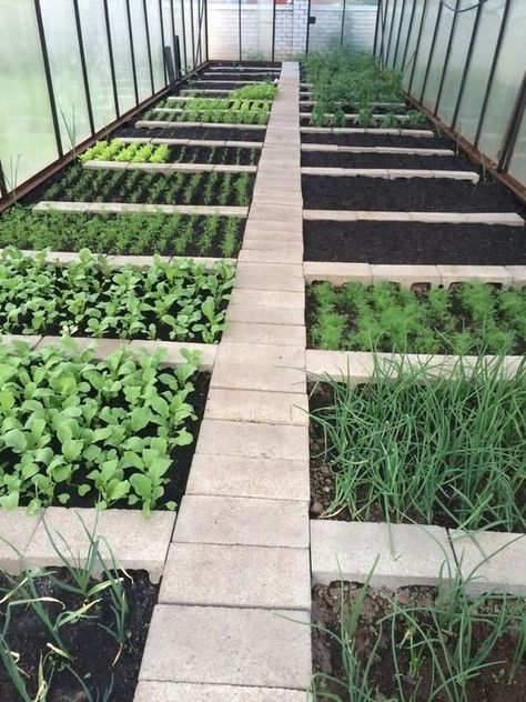 Kebun Herbal, Storage Outdoor, Diy Garden Bed, Vegetable Garden Diy, Desain Lanskap, Backyard Greenhouse, Backyard Vegetable Gardens, Firewood Storage, Have Inspiration