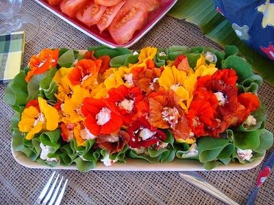 Stuffed Nasturtium Flowers - with cream cheese & chives, add walnuts Edible Flowers Recipes, Foraged Food, Herbal Recipes, Harvest Recipes, Flower Food, Garden Recipes, Wild Food, Edible Flowers, Food Presentation