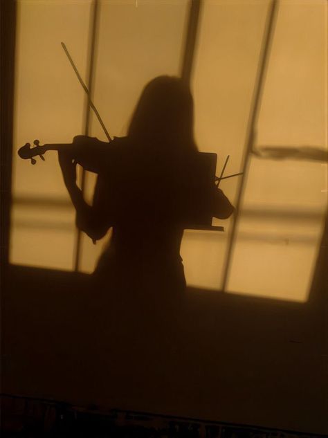 Poppy Litchfield, Violin Photography, Era Victoria, Violin Art, Ennio Morricone, Playing Violin, Fotos Goals, The Violin, Dark Academia Aesthetic