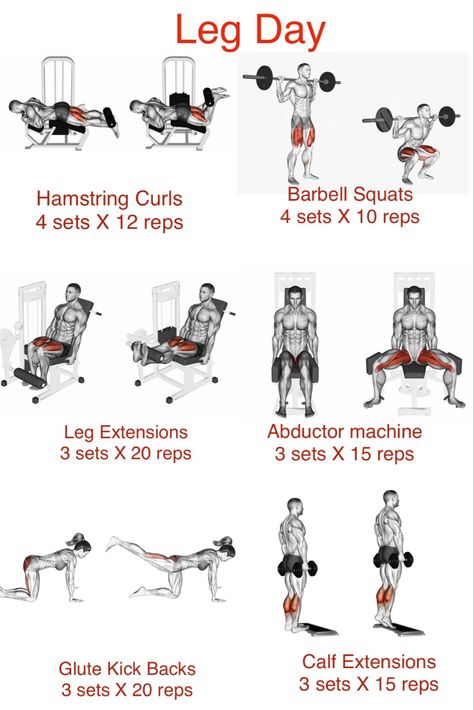 Good Leg Day Workouts, Workouts Legs Gym, Workout For Legs Gym, Pt Workout Plan, Beginner Leg Workout Gym Men, Push Leg Day, Cardio And Leg Workout Gym, Leg Pull In Exercise, Leg Gym Routine