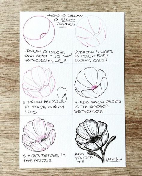 Draw Flowers Watercolor, Texas Watercolor, How To Draw Flowers, Simple Flower Drawing, Lilies Drawing, Diy Canvas Art Easy, Wildflower Drawing, Creative Drawings, Draw Flowers