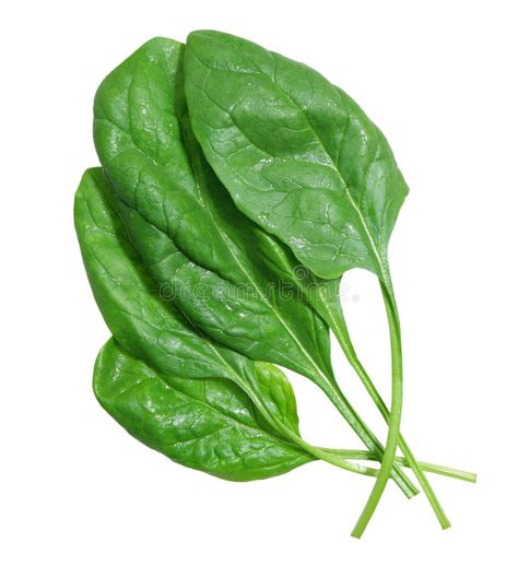 Spinach. Group of spinach leaves isolated on white , #Affiliate, #spinach, #Group, #Spinach, #white, #isolated #ad Growing Spinach, Strawberry Spinach, Eat Pretty, Iron Rich Foods, Vegetarian Diet Plan, Plant Based Lifestyle, Spinach Leaves, Tofu Recipes, Vegetarian Recipes Healthy