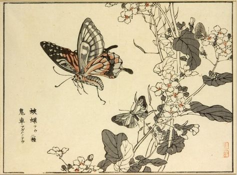 Bug Reference, Traditional Tattoo Dragon, Japanese Butterfly, Vintage Tattoo Art, Vintage Tattoo Design, Japanese Drawings, Japanese Art Prints, Butterfly Illustration, Butterfly Drawing