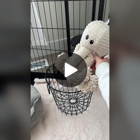 TikTok · kaeli mae Kaeli Mae, Getting A Puppy, New Puppy, Fur Babies, Puppies, Dogs, Quick Saves