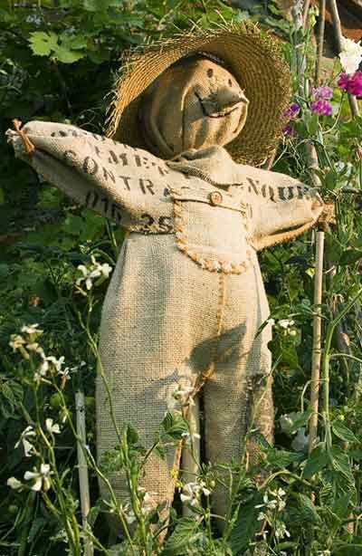 Scarecrow-large - burlap scarecrow....I need a scarecrow for my garden.... Burlap Scarecrow, Make A Scarecrow, Flower Tower, Have Inspiration, Happy Fall, Permaculture, Dream Garden, Scarecrow, Fall Thanksgiving