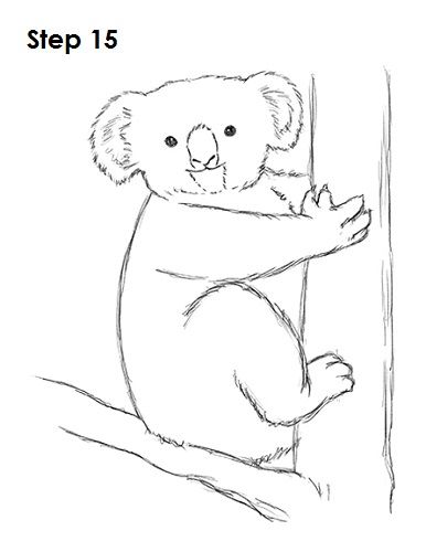 Koala Drawing 15 Koala Drawing Easy, Draw A Koala, Koala Drawing, Drawing Instructions, Inktober 2024, Christmas Card Art, Animal Silhouette, Pencil Art Drawings, Learn How To Draw