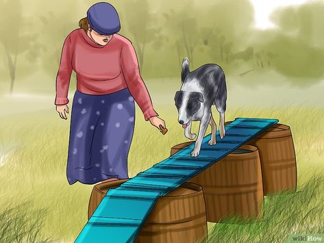 Diy Dog Agility Equipment Do It Yourself, Dog Training Obstacle Course Diy, Homemade Agility Course For Dogs, Dog Agility Course Design, Diy Dog Agility Course Backyards, Diy Agility Equipment, Diy Agility Course For Dogs, Diy Dog Agility Equipment, Diy Dog Agility Course