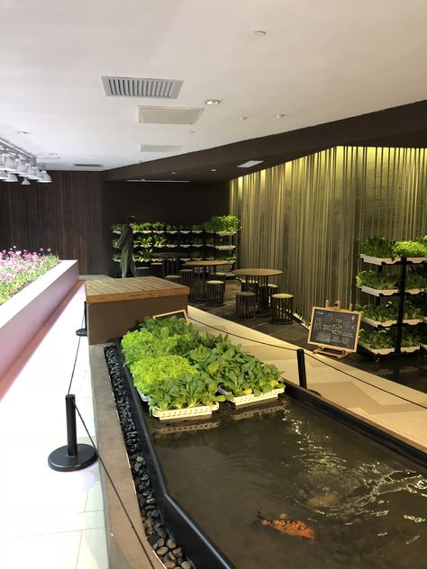 Hydroponic Restaurant Design, Aquaponics Aesthetic, Aesthetic Aquaponics, Hydroponic Architecture, Hydroponic Aesthetic, Indoor Ecosystem, Green Recycling, Indoor Aquaponics, Aquaponics Greenhouse