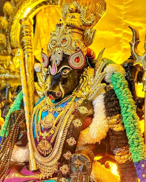 வாராஹி Varahi Amman Images Hd, வராஹி அம்மன், Varahi Amman Images, Varahi Mata, Varahi Devi, Varahi Amman, Hindu Statues Goddesses, Devotional Images, Puja Ghar