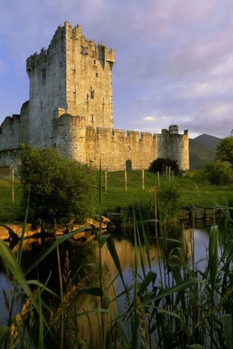 Ross Castle Ireland, Uk Castles, Ireland Aesthetic, Ross Castle, Scottish Ancestry, Killarney, Castle Ruins, Emerald Isle, Medieval Castle