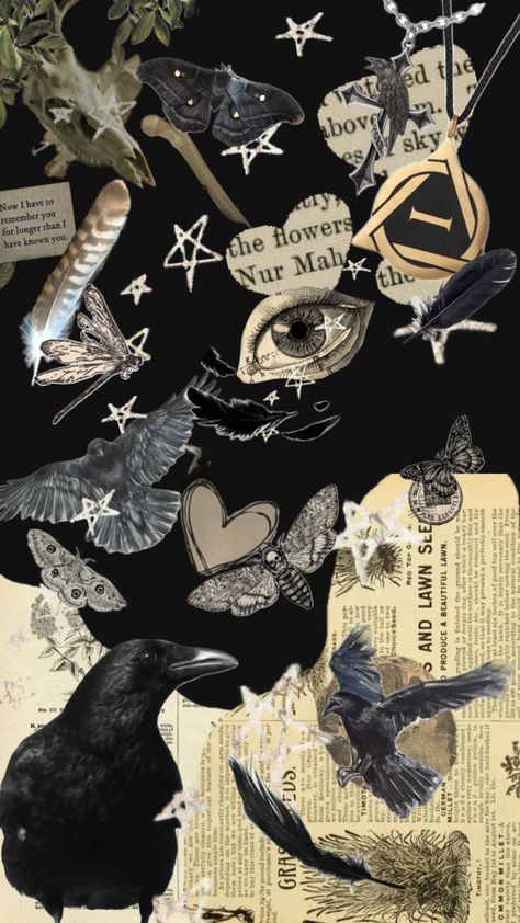 Raven therian True Life, Collage