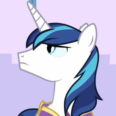 Shining Armour My Little Pony, Spike Pfp Mlp, My Little Pony Shining Armor, Shining Armor Mlp, My Little Pony Boys, Canterlot Wedding, Mlp Oc, My Little Pony Twilight, Pony Horse