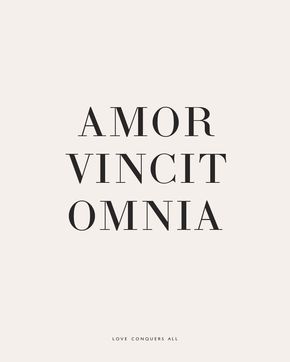 Amor Vincit Omnia-Love conquers all. Latin Love Quotes, Love Tattoo Quotes, Latin Tattoo, Citation Force, Tattoo Quotes About Strength, Tattoo Quotes About Life, Latin Quotes, Latin Phrases, Love Tattoo