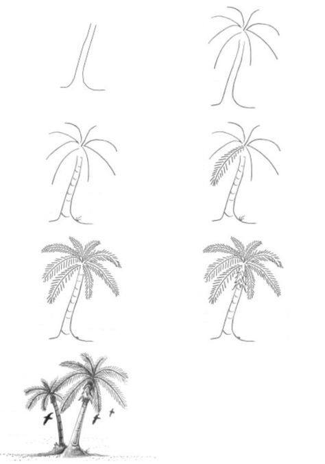 Palm Trees Drawing Easy, Palm Tree Sketch Simple, Palm Tree Painting Easy Step By Step, How To Draw A Palm Tree Step By Step, Palm Tree Drawing Simple, Palm Tree Drawing Sketches, How To Draw A Palm Tree, Easy Palm Tree Drawing, Drawing Easy Sketch