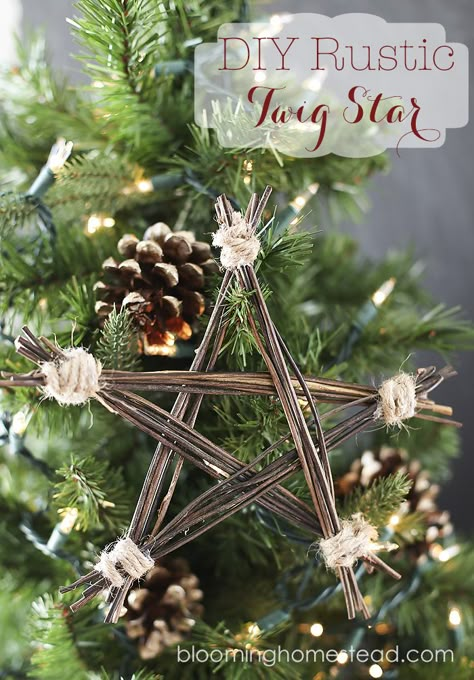 DIY Rustic Twig Star by Blooming Homestead Rustic Christmas Diy, Twig Stars, Pine Needle Crafts, Twig Crafts, Rustic Christmas Ornaments, Needle Crafts, Handmade Christmas Ornaments, Pine Needles, Fun Crafts For Kids