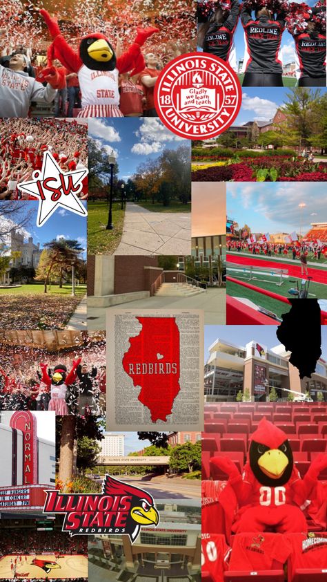 Good Vibes Wallpaper, Illinois State University, Illinois State, College Life, Image Boards, State University, Savannah Chat, Good Vibes, Illinois