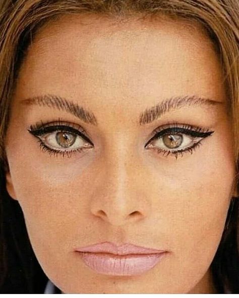 615 Likes, 14 Comments - @sophialorenfrance2 on Instagram: “🙋🌞 Bonjour ! ☕☕☕🐮 📷 Sophia by Tazio Secchiaroli (from my book) "Sophia Loren Photography" by Tazio…” Eyeliner Tutorial, Sophia Loren, Black Swan, Eyebrows, Eyeliner, Makeup, On Instagram, Instagram, Make Up